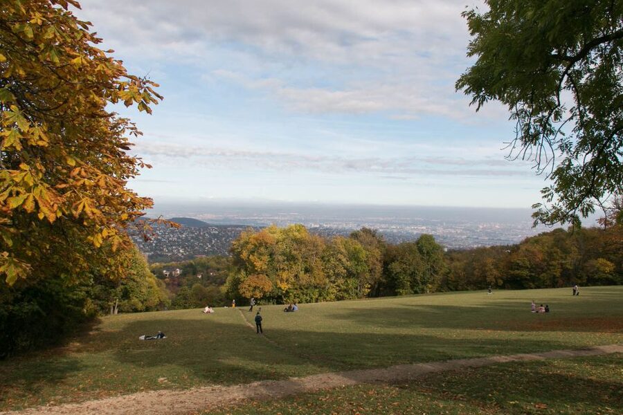 3Hour Outdoor Budapest Normafa Hike&History With a Historian - Bus to Normafa, Then Forest Paths at an Easy Pace