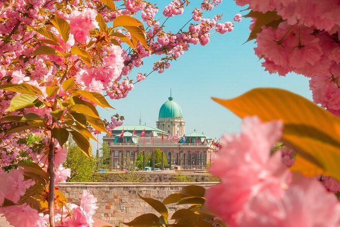 Best of Budapest Tour - Chain Bridge and Danube Crossings: Learn the City’s “Connective Tissue”