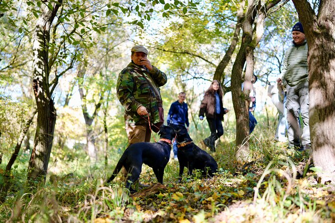 Black Truffle Hunt, Foie Gras & Wines with Budapest Pickup - Key highlights you should care about