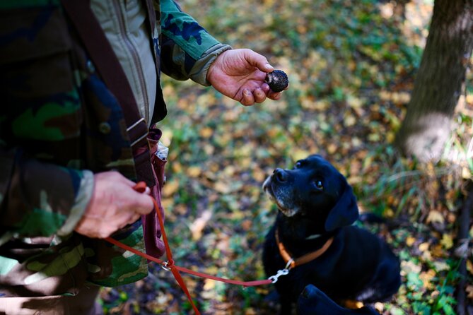 Black Truffle Hunt, Foie Gras & Wines with Budapest Pickup - Erzsébet tér pickup and the ride that sets the tone