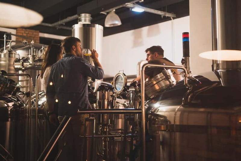 Budapest: Brewery Tour at "First Craft Beer" & Beer Tasting - Price and value at $29, what you’re really paying for