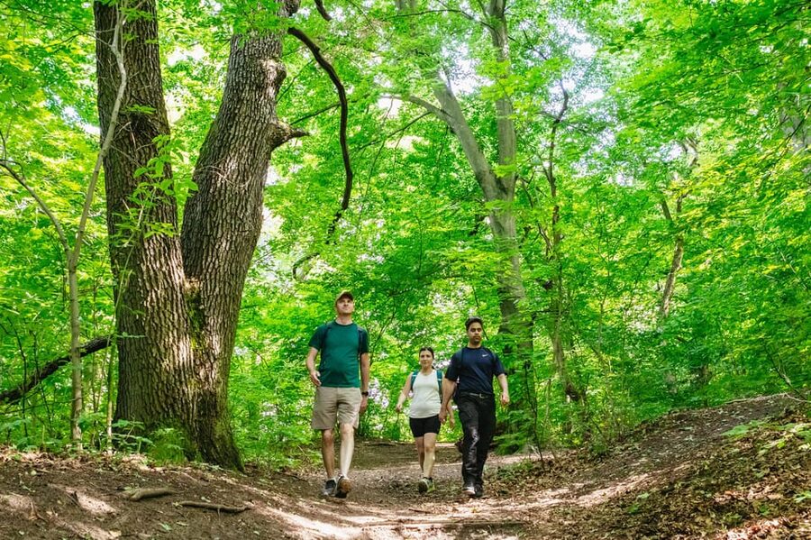 Budapest: Buda Hills Guided Hiking Tour with Optional Lunch - Buda Hills views without the stress