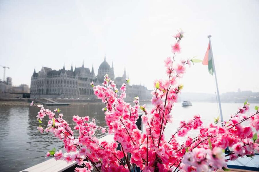 Budapest: Daytime Hop-on Hop-off Cruise with Welcome Drink - When to Book and How to Avoid Common Frustration