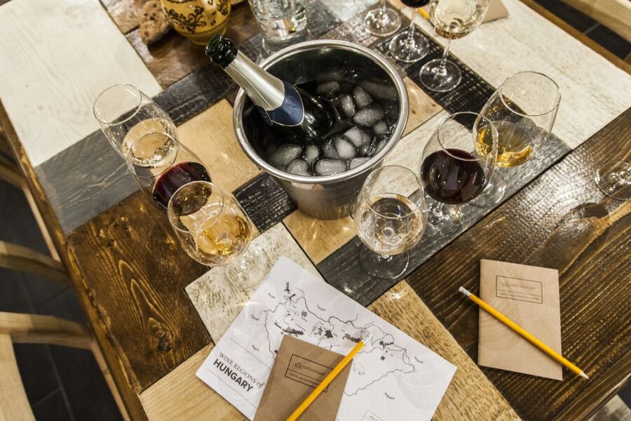 Budapest: Essentials of Hungarian Wine Tasting Class - Key highlights you will feel quickly