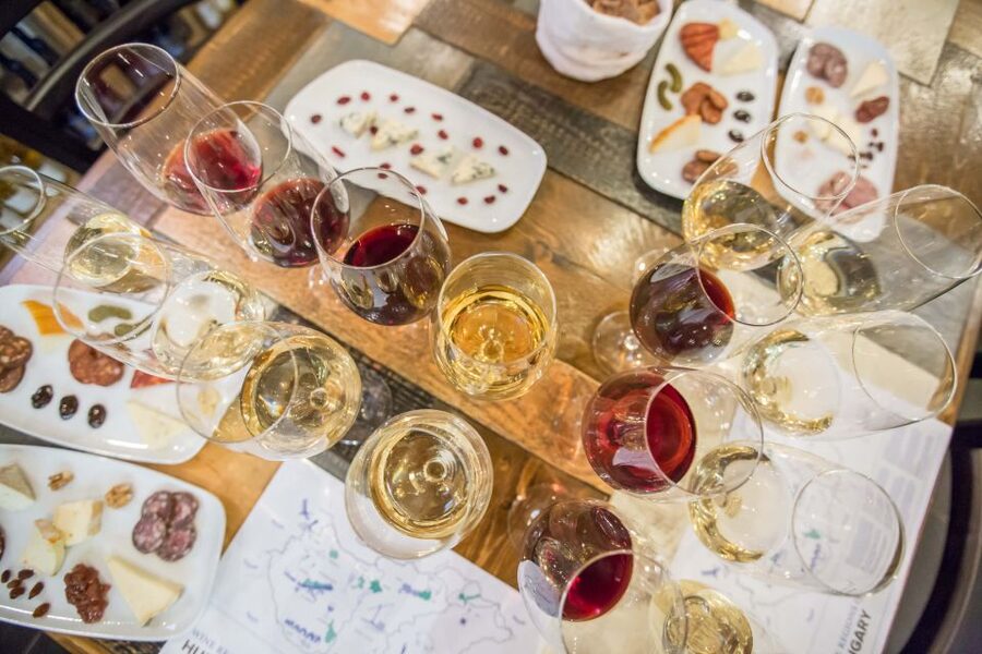 Budapest: Essentials of Hungarian Wine Tasting Class - Why this tasting is the easiest way to get Hungary into focus