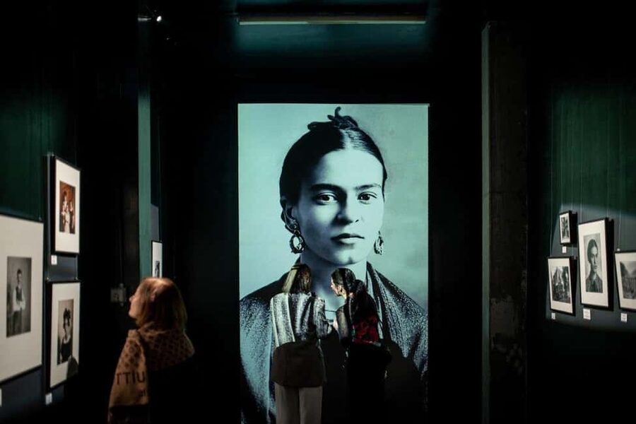 Budapest: Frida Kahlo Immersive Exhibition Ticket - Ticket timing: choosing the right Frida session in Hungarian or English