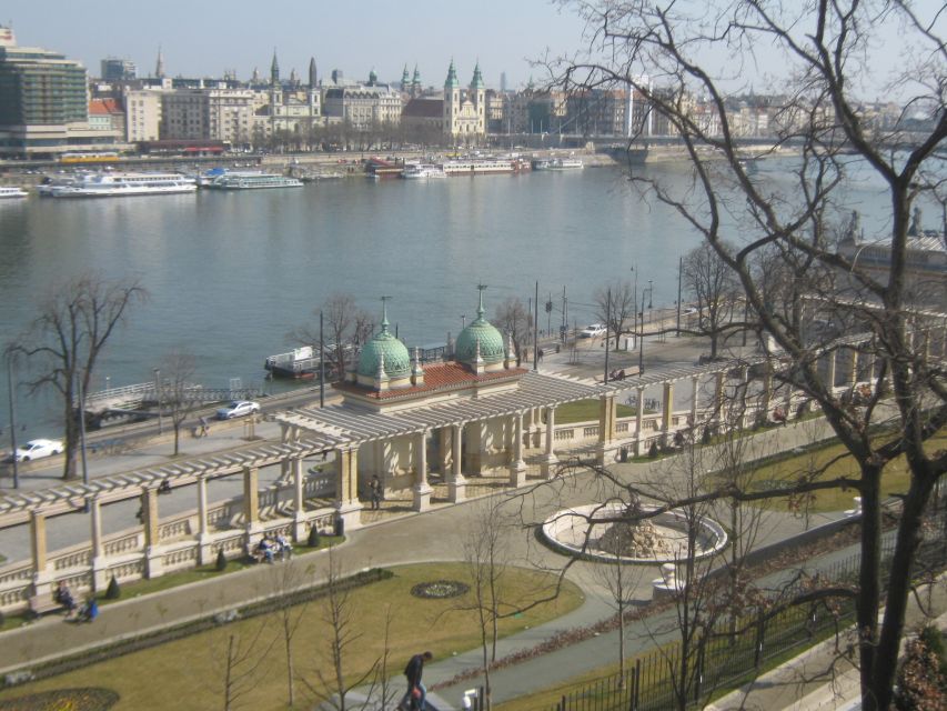 Budapest Full-Day Private Guide Services - Buda Castle and the Citadella: where views meet real-time guidance