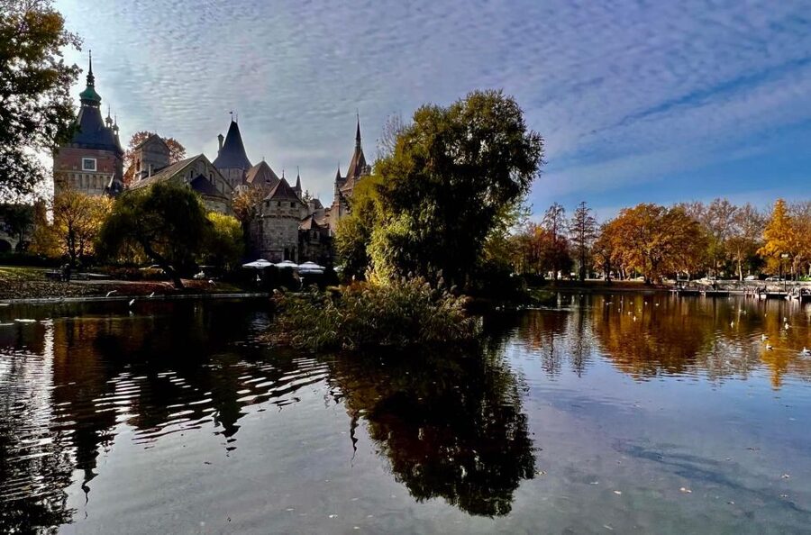 Budapest Full-Day Private Guide Services - Guide languages and what that means for your comfort level
