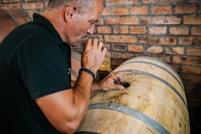 Budapest Half-Day Wine Tour: 3 Family Wineries, Meal & Pálinka - Etyek-Buda wine region basics that actually matter for your glass