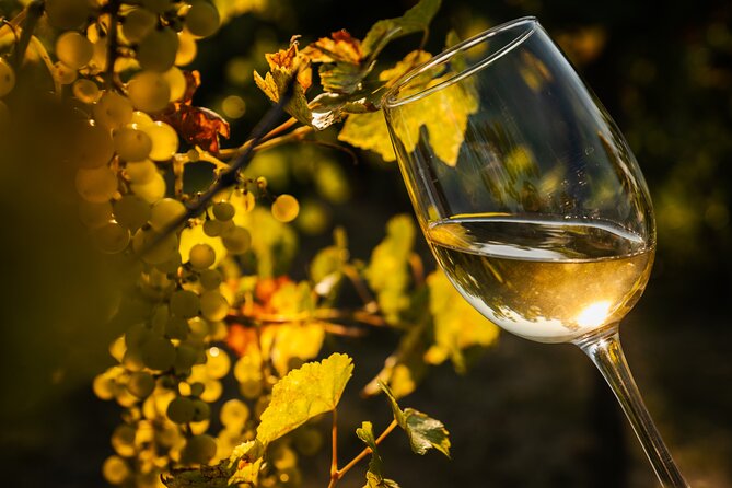 Budapest Half-Day Wine Tour: 3 Family Wineries, Meal & Pálinka - Hungarian meal plus cold cuts and cheese, then pálinka