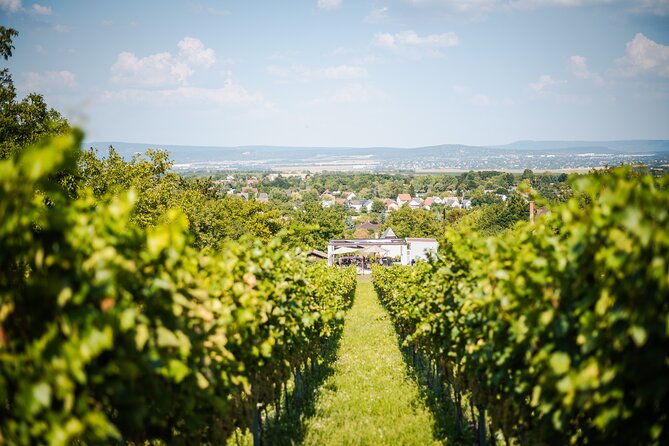 Budapest Half-Day Wine Tour: 3 Family Wineries, Meal & Pálinka - Who this tour is best for, and who should skip it