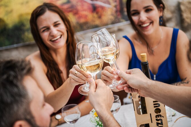 Budapest Half-Day Wine Tour: 3 Family Wineries, Meal & Pálinka - What the half-day format gets right: 3 wineries, 12-15 tastes