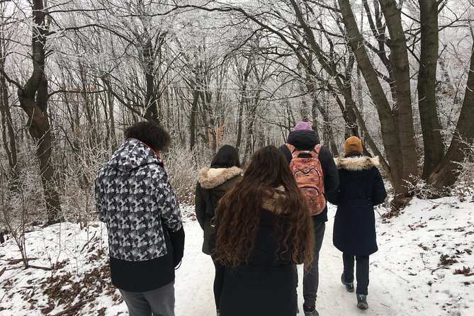 Budapest Hike - Fuel on the trail: the picnic lunch that keeps the energy steady