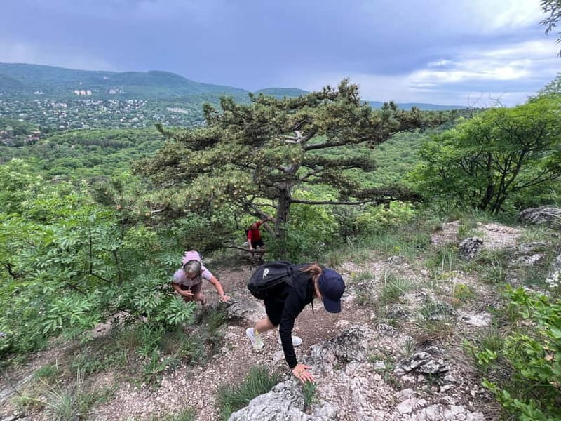 Budapest: Hiking Tour in the Buda Hills, Hármashatár Hill - Stop-by-stop guide: what you’ll see and why it matters