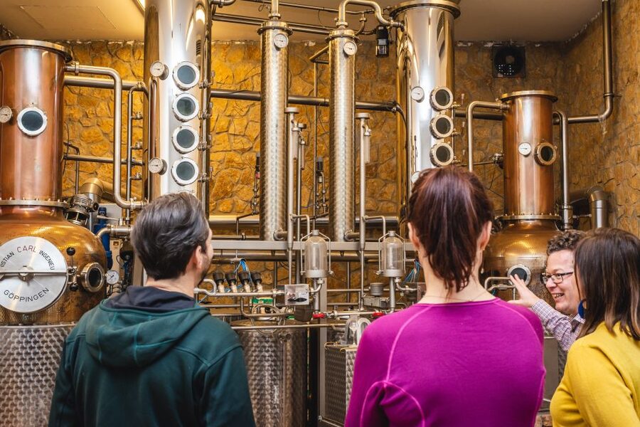 Budapest: Hungarian Whisky, Gin, and Pálinka Tasting - Key things to know before you go
