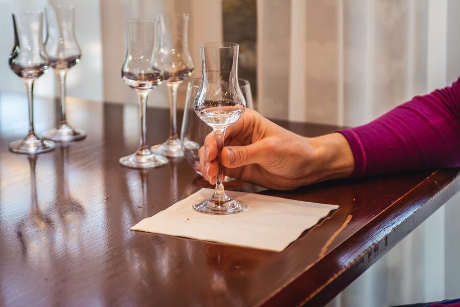Budapest: Hungarian Whisky, Gin, and Pálinka Tasting - The distillery tour, what you’ll likely notice as you go