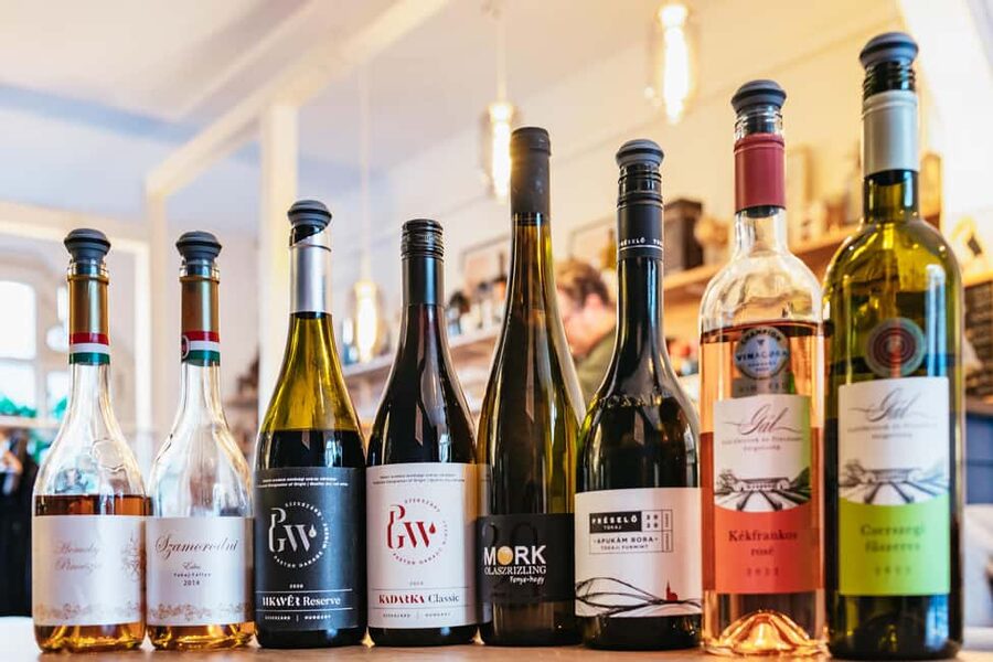Budapest: Hungarian Wine Tasting with 8 Wines and Tapas - Tapas pairing that tastes like it came from real farms