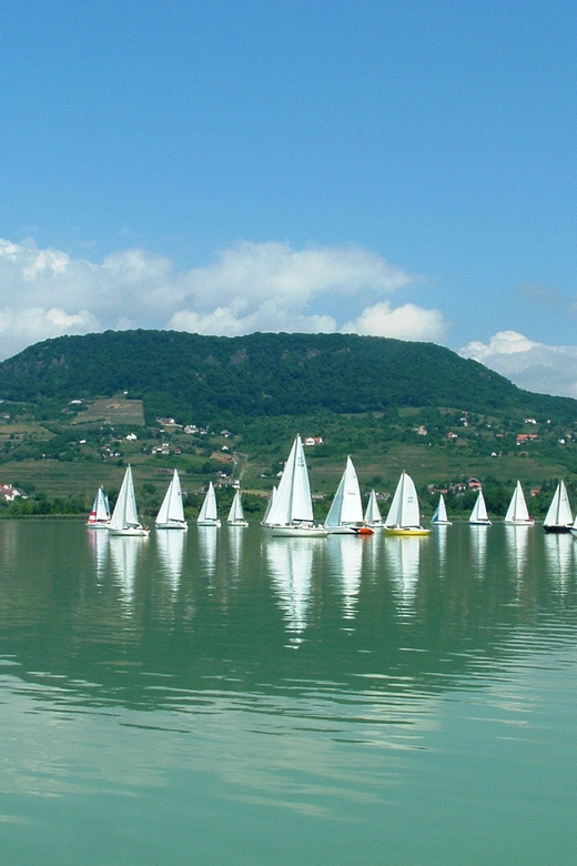 Budapest: Lake Balaton & Herend Porcelain Private Day Tour - Price and Logistics for a 9-Hour Private Day