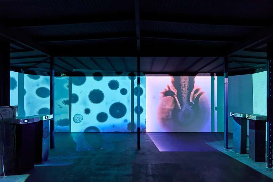 Budapest: Light Art Museum Skip-the-Line Entry Ticket - Projection, color, and optical illusion rooms that reward close looking