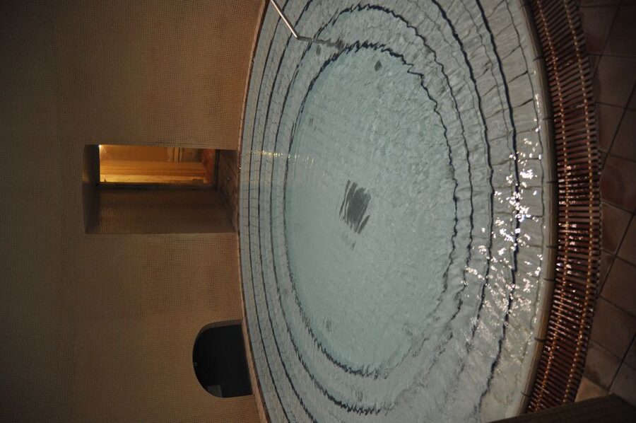 Budapest: Lukács Thermal Bath Full-Day Spa Ticket - Entering Lukács: a historic spa you can actually use