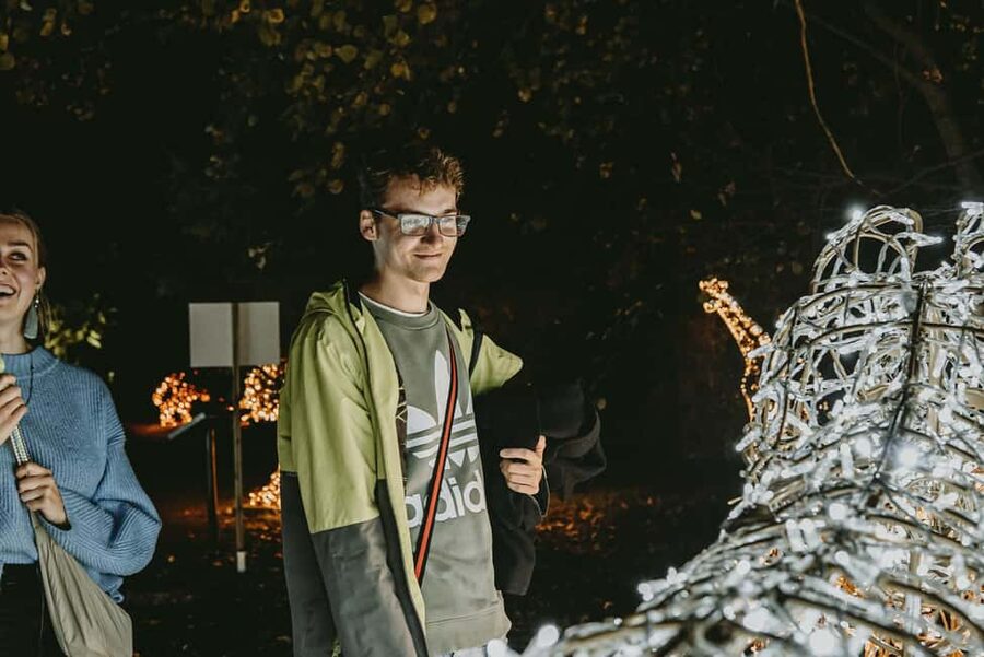 Budapest: Lumina Light Park Wonderworld Entry Ticket - Interactive games and buttons that turn a walk into something to do