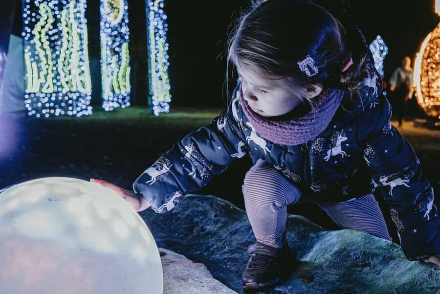 Budapest: Lumina Light Park Wonderworld Entry Ticket - Hot drinks, breaks, and winter comfort (yes, you need layers)