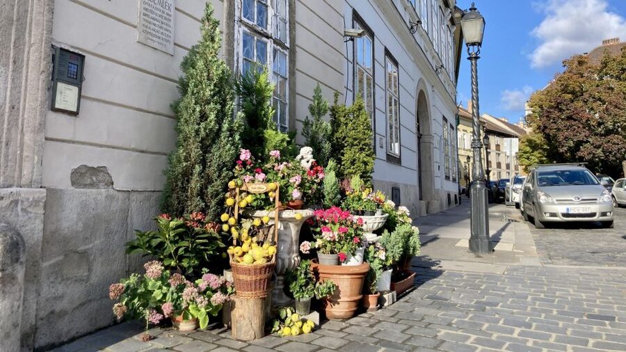 Budapest: private sightseeing tour by public transportation - Andrássy Avenue to Heroes’ Square, the orientation backbone of the day