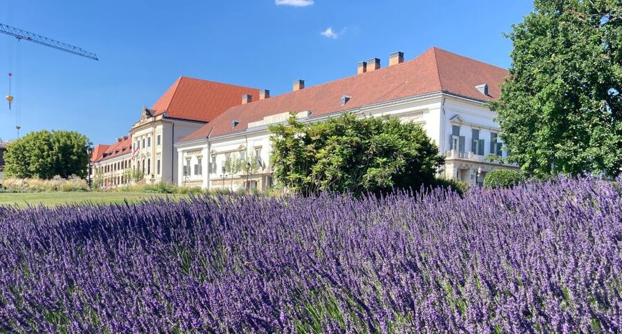 Budapest: private sightseeing tour by public transportation - Price and value: what you pay for a private group up to 15