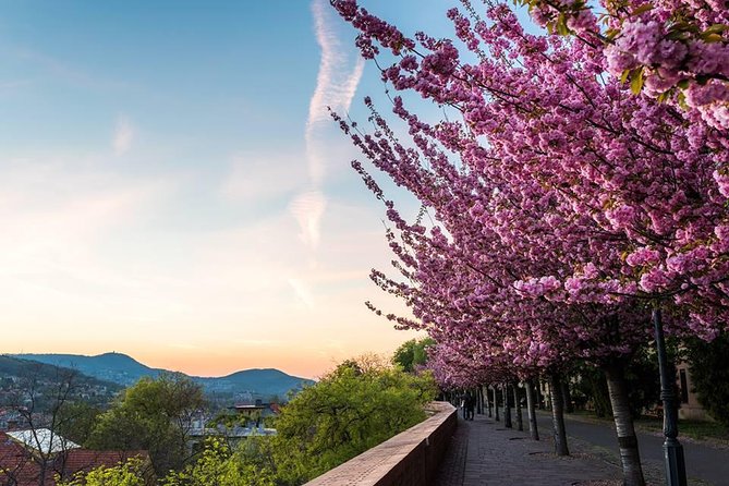 Budapest Private Walking Tour - Starting at 9:30 with hotel pickup, and why that matters