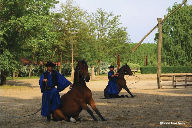 Budapest Puszta Day Trip to Kecskemet with Horse Show & Lunch - Getting Out of Budapest Without Stressing Over a Car