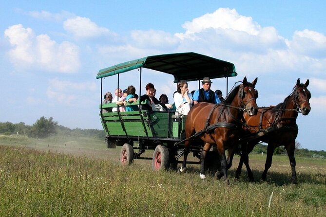Budapest Puszta Day Trip to Kecskemet with Horse Show & Lunch - The Csárda Horse Ranch: Pálinka Welcome and Horse-First Reality