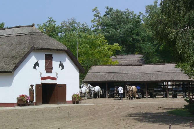 Budapest Puszta Day Trip to Kecskemet with Horse Show & Lunch - Carriage Ride Included: Why It Changes the Whole Day