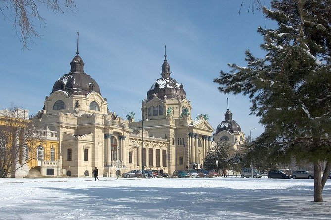 Budapest Széchenyi Spa with Danube Cruise and Optional Dinner - Who should book this Budapest combo