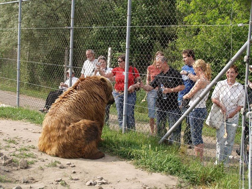 Budapest: Transport & Guided Tour of Bear and Wolf Sanctuary - Batthyány tér start, then rural Hungary by private van