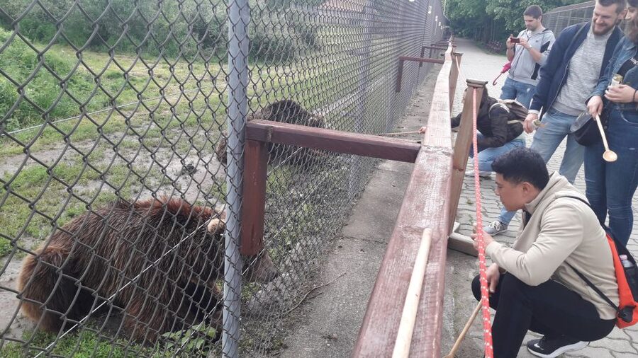 Budapest: Transport & Guided Tour of Bear and Wolf Sanctuary - The Veresegyház sanctuary visit: what 2 hours feels like in real time