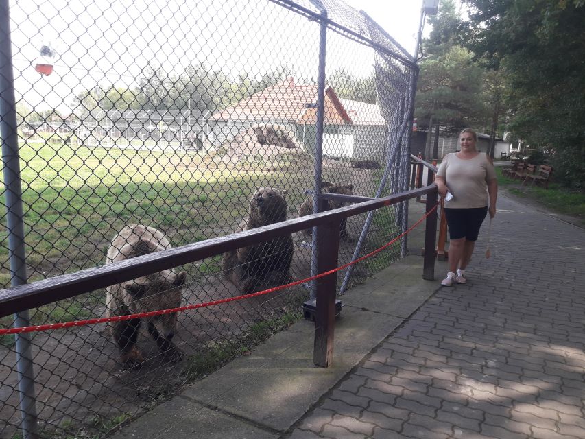 Budapest: Transport & Guided Tour of Bear and Wolf Sanctuary - Wolves and the rest of the sanctuary animal world