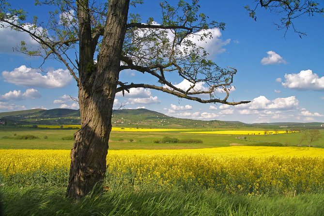 Budapest-Vienna One-Way Sightseeing Transfer - Small-group pickup and a ride that respects your luggage