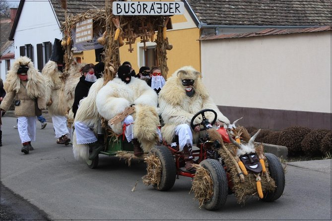 BUSÓJÁRÁS Unesco Heritage Folklore Carnival in Mohács - Price and value: is $250 per person a smart move?