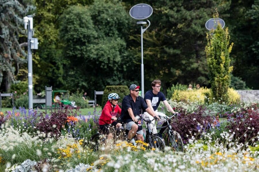 Choose a bicycle and make your own tour in Budapest-24 hrs - Bike lanes, comfort, and the realities of rental equipment