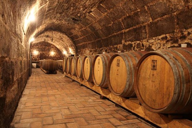 Countryside Half-day Gastro-Wine Tour from Budapest Meal & pickup - Key highlights that make this tour worth your time