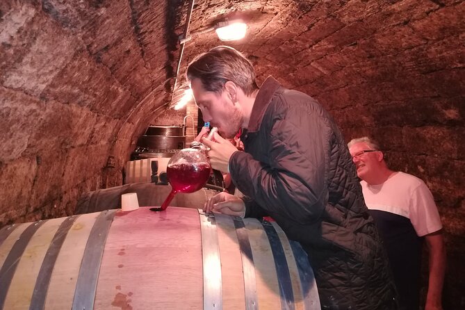 Countryside Half-day Gastro-Wine Tour from Budapest Meal & pickup - The meal moment: lunch or dinner at a wine estate