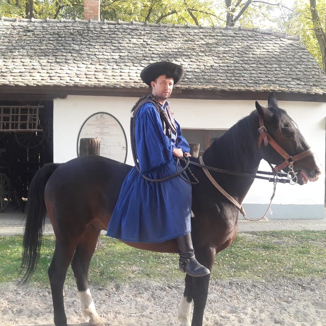 Countryside ranch, horse show & lunch - Hungarian livestock on the Great Plain, grey cattle and Racka sheep