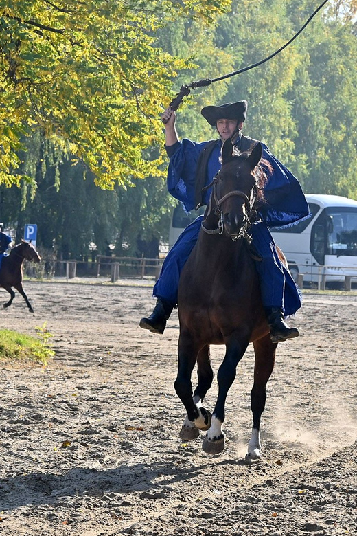 Countryside ranch, horse show & lunch - Lunch in the countryside: goulash, strudel, and palinka
