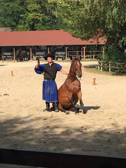 Countryside ranch, horse show & lunch - Who this tour is perfect for, and who should skip it