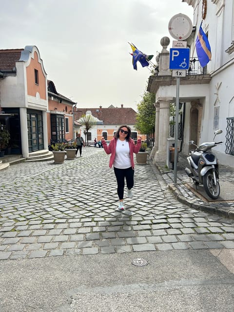 E-Bike Tour to Szentedre - Price and What Makes $79 Feel Fair for This Half-Day