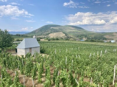 Countryside, Culture, and Wine Private Tour