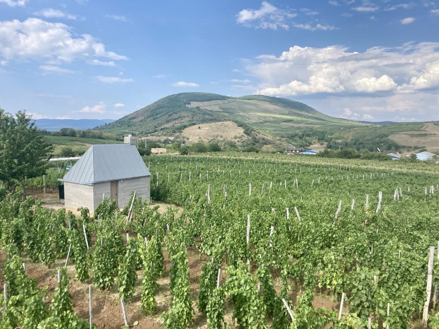 Eger: Countryside, Culture, and Wine Private Tour - Eger Castle: walls, exhibition, and that 1552 siege story
