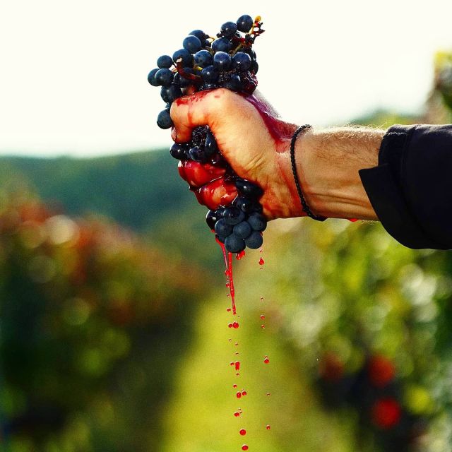 Eger, home to Bull's Bood, a private tour with winetaste - Szépasszony-völgy: The Wine Valley and a 5-Series Tasting