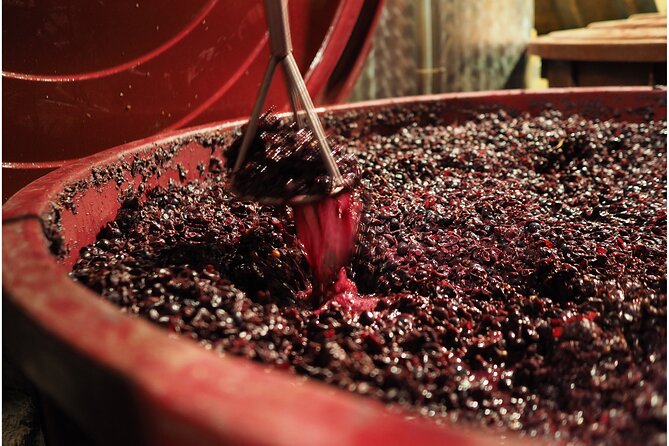 Etyek Private Half-Day Wine Tasting Tour from Budapest - Stop 2, the second winery comparison that makes the day click