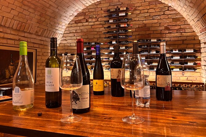 Exclusive Hungarian Wine and Gastronomy Experience Luxury Package - How to Choose a Bottle to Take Home